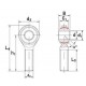 SA PK rod end Bearing