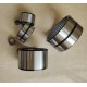 NK Entity Bushed Needle Roller Bearing