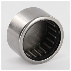 BK2018 RS Needle Bearing 