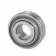 202NPP9 Radial Ball Bearing - Round Bore / OD with 3/4" Radius